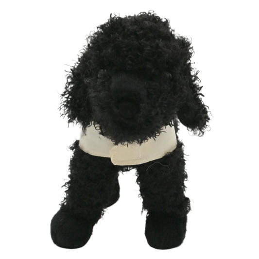 America's VetDogs Dually Branded Black Poodle Plush Puppy